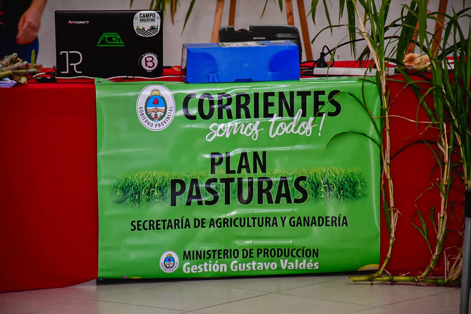 PLAN-PASTUR_9.jpeg